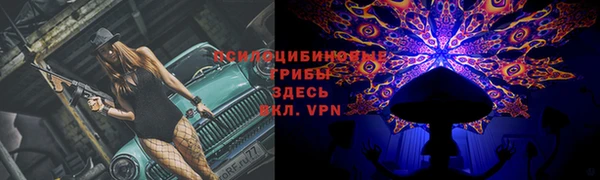 гидропоника Дмитриев