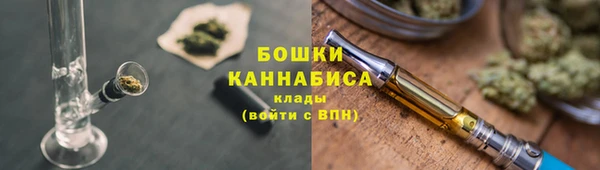 гидропоника Дмитриев