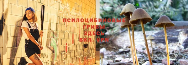 гидропоника Дмитриев