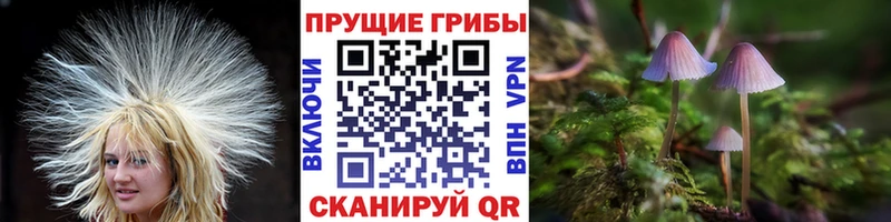 Псилоцибиновые грибы мухоморы  Купить  Урай 